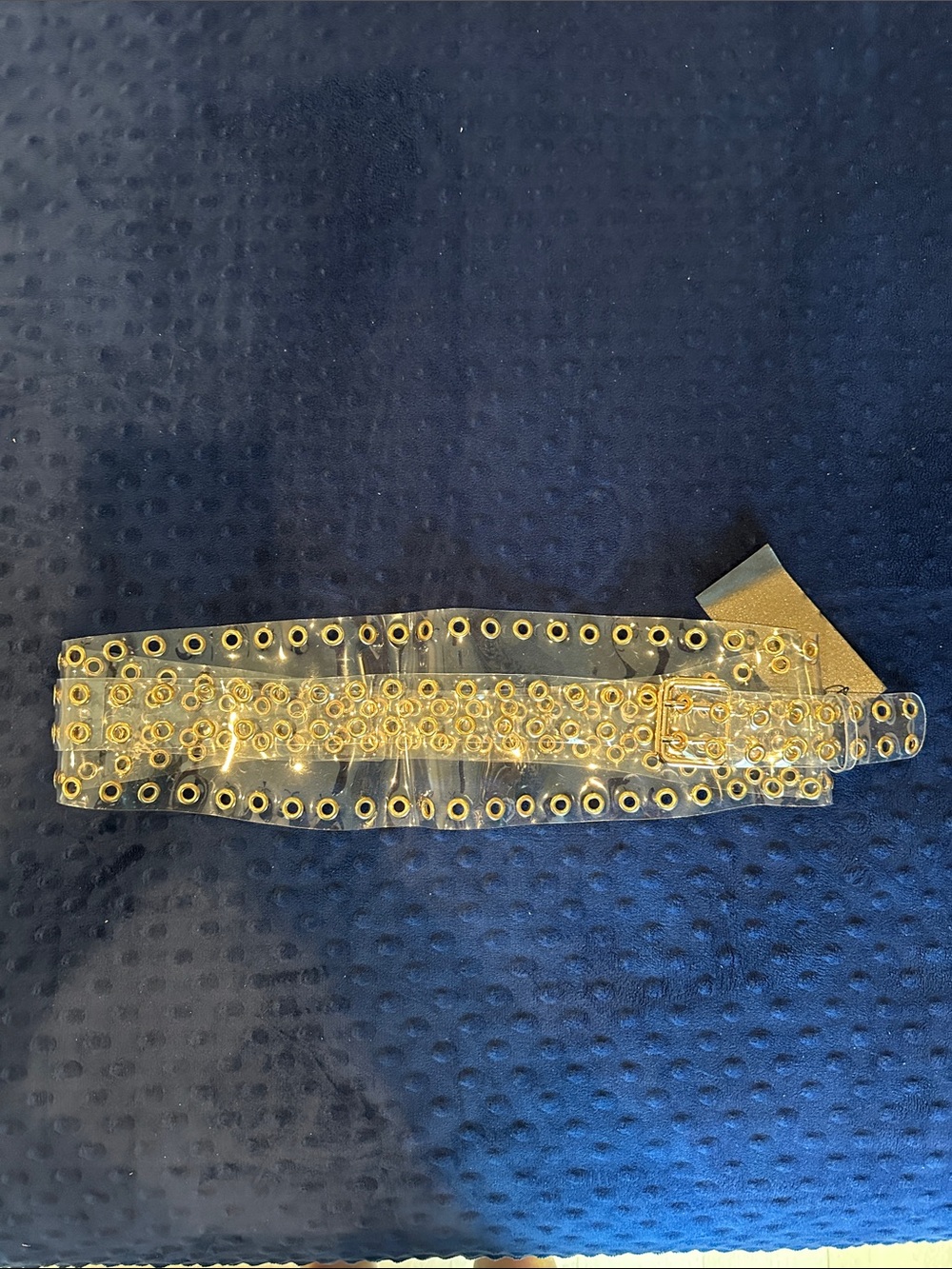 Transparent Belt with Gold Eyelets and Buckle - Women's Waist Accessory
